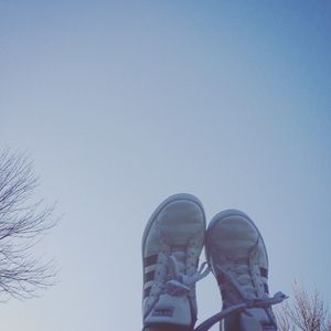 Meet your Posher, Evelyn